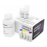 Thermo Fisher Scientific Click-iT EdU Alexa Fluor 488 HCS Assay, 2 x 96 well plates
