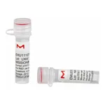 Merck MISSION(R) esiRNA