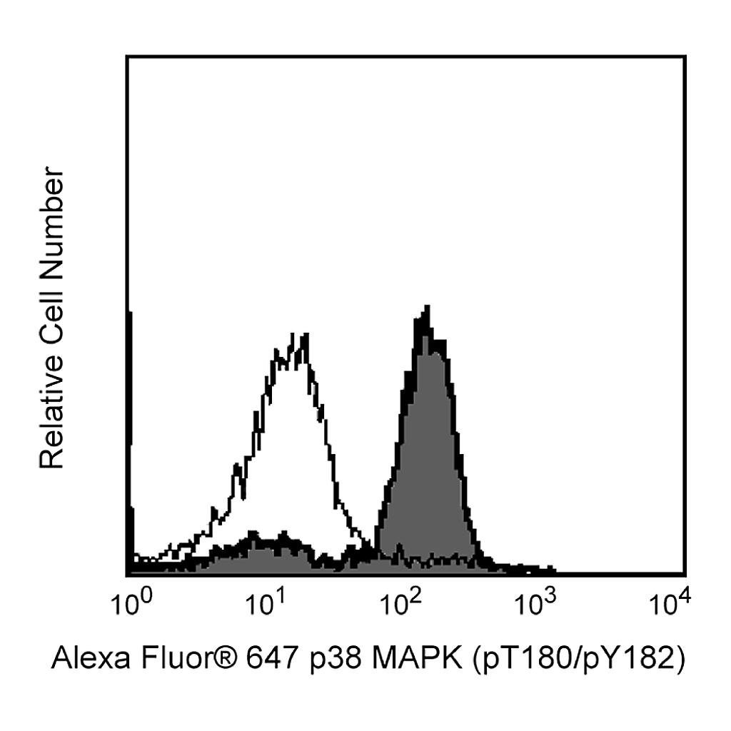 BD Alexa Fluor® 647 Mouse Anti-p38 MAPK (pT180/pY182)