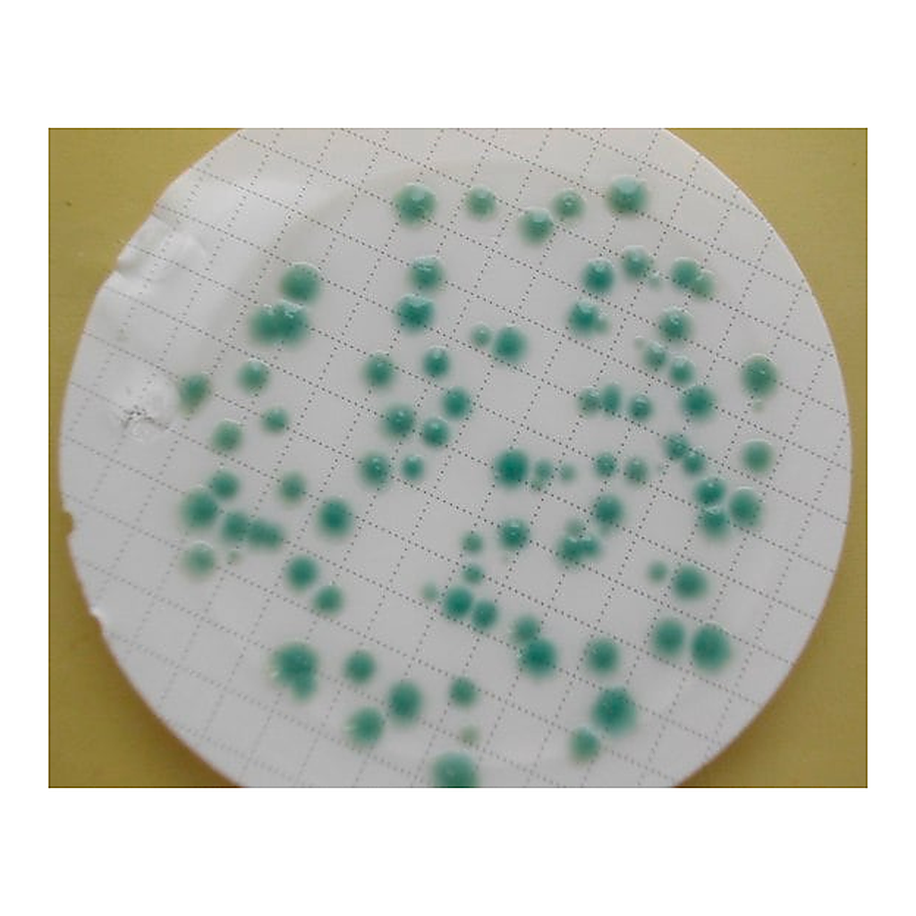 Merck CP ChromoSelect Agar