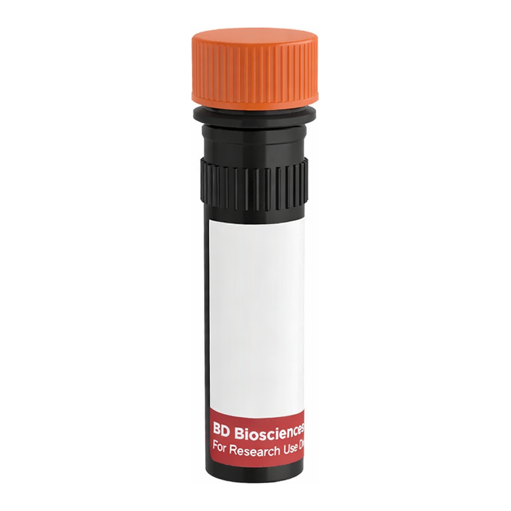 BD RR688 Rat Anti-Mouse TCR Vβ11