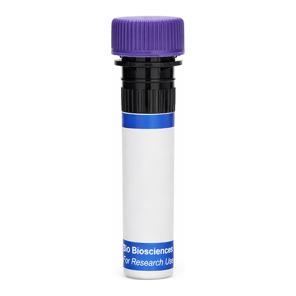 BD RB744 Hamster Anti-Mouse γδ T-Cell Receptor