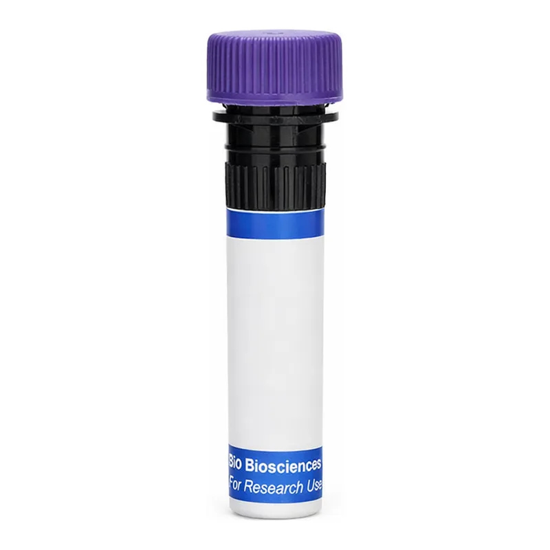 BD RB744 Hamster Anti-Mouse γδ T-Cell Receptor