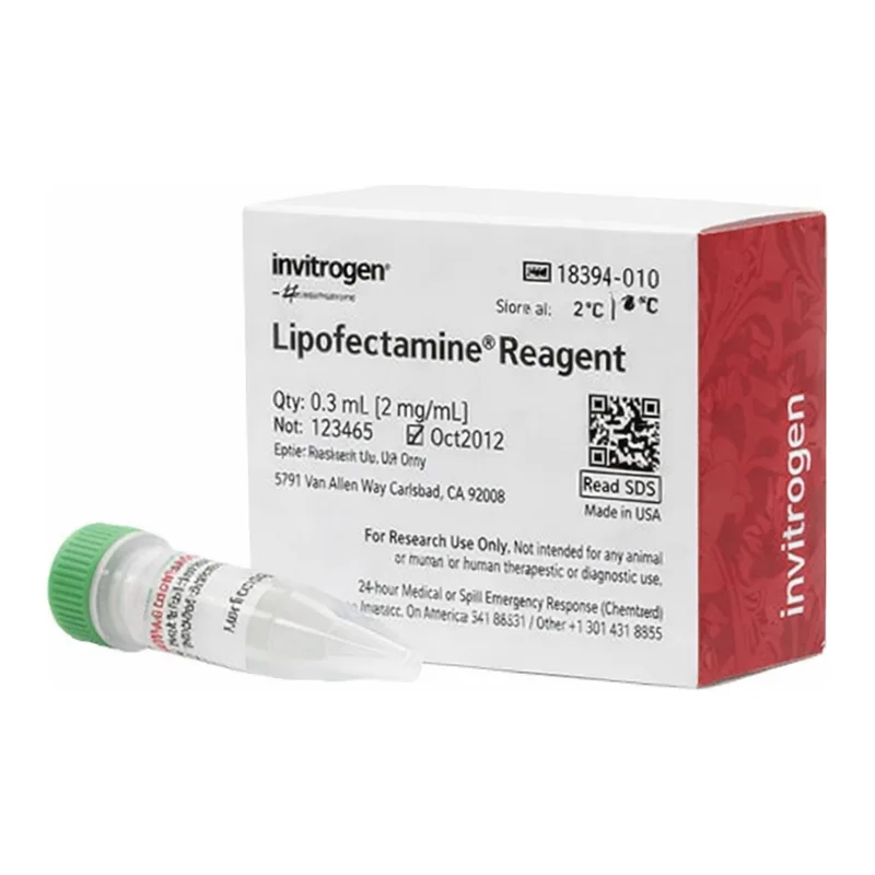 Thermo Fisher Scientific Lipofectamine Transfection Reagent, 0.3 mL