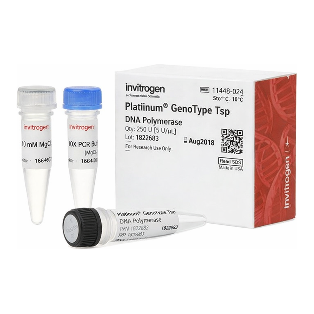 Thermo Fisher Scientific Platinum GenoType Tsp DNA Polymerase, 250 units