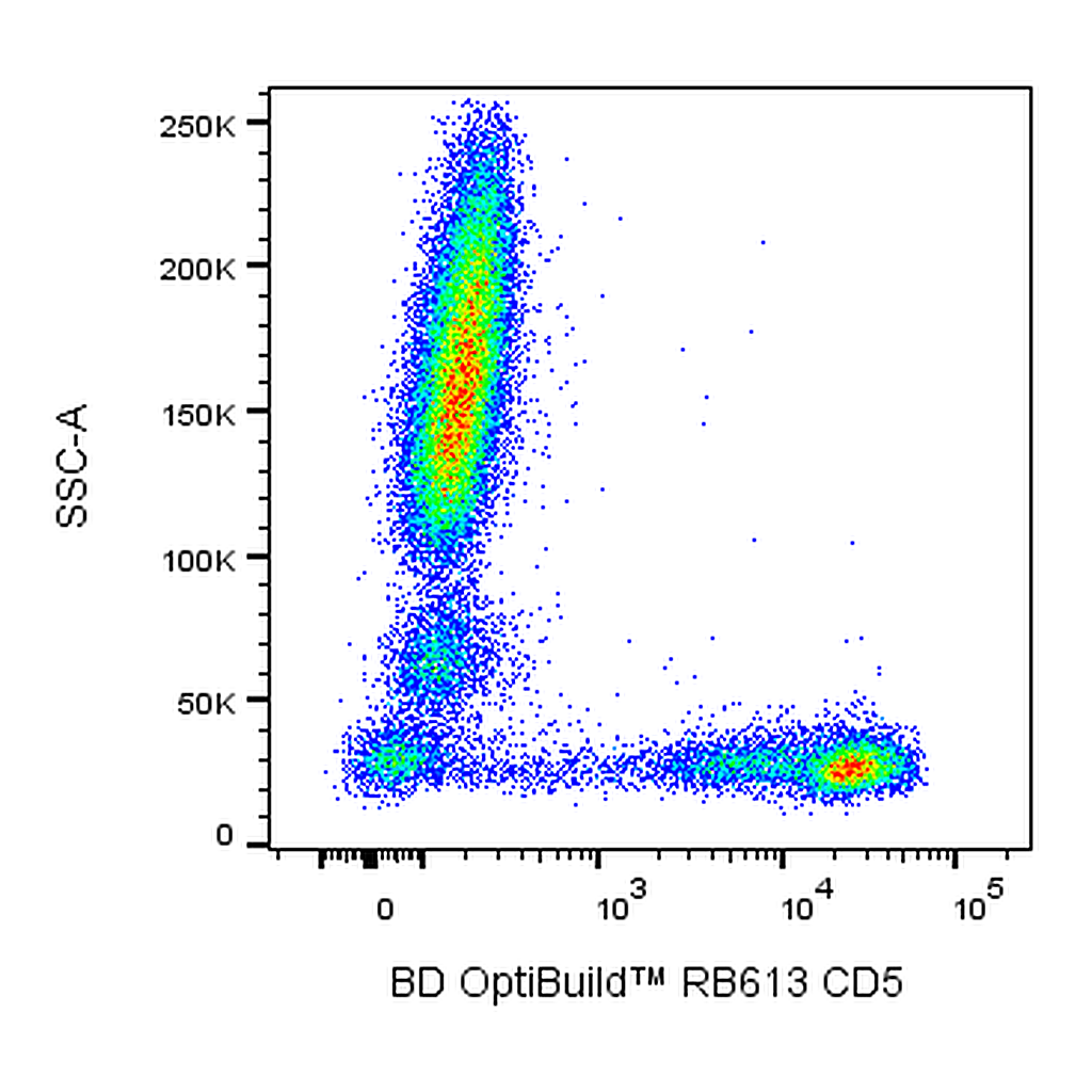 BD RB613 Mouse Anti-Human CD5