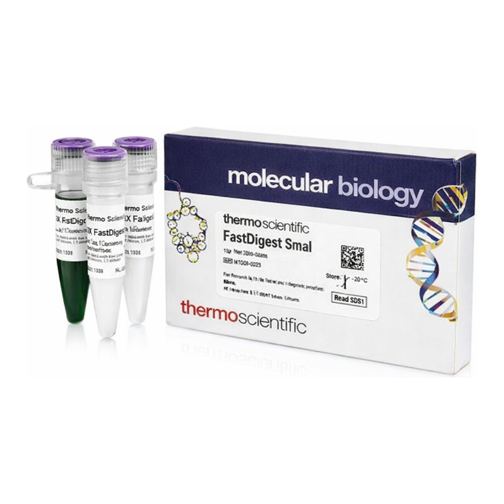 Thermo Fisher Scientific FastDigest SmaI, 100 &mu;L (100 Reactions)