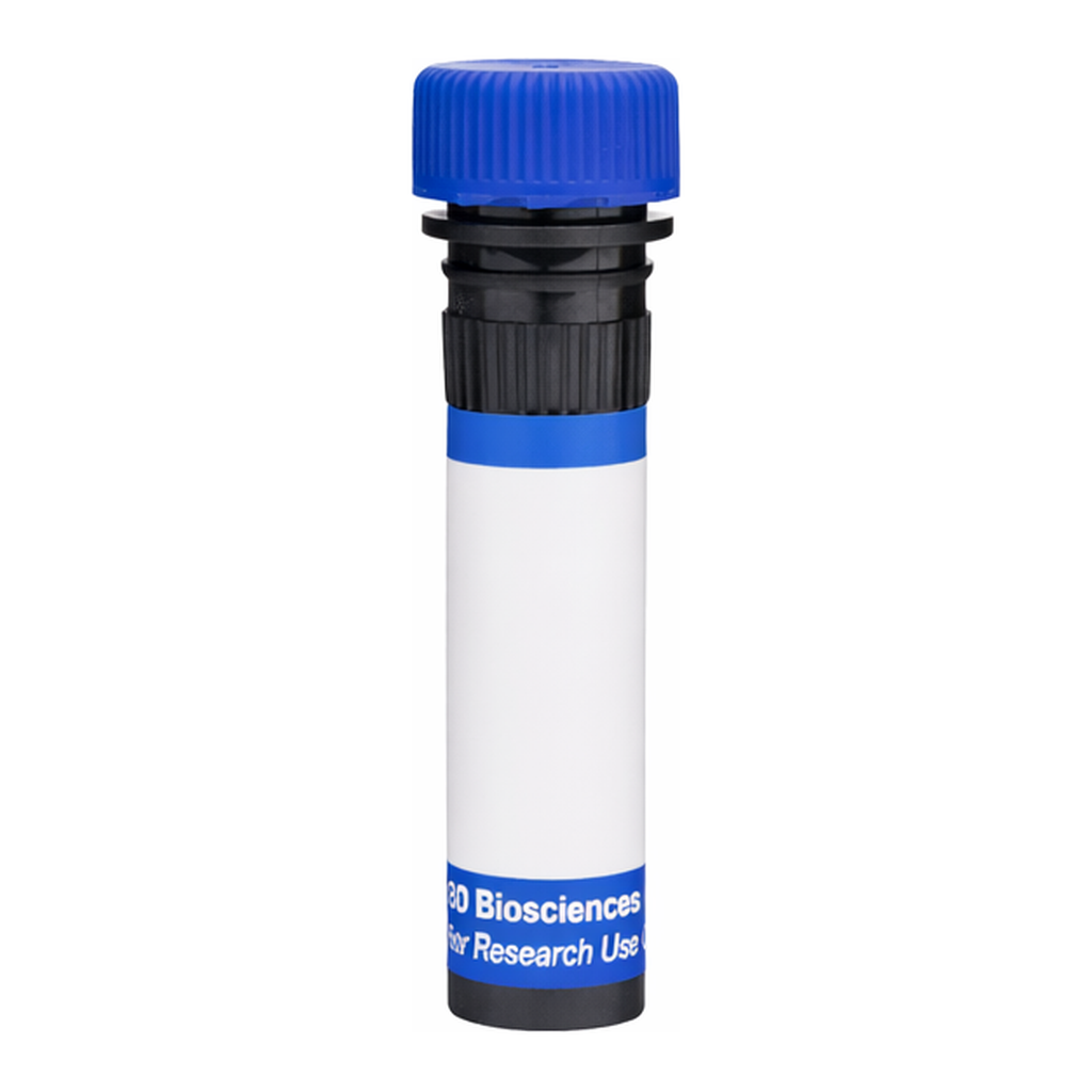 BD RB780 Rat IgG2a, λ Isotype Control