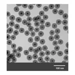 Merck GOLD NANOPARTICLES, 10 NM DIAMETER, SIL&