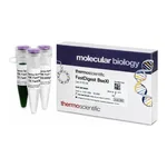 Thermo Fisher Scientific FastDigest BseXI