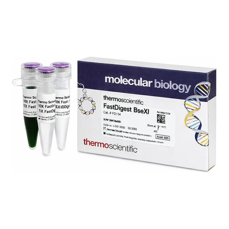 Thermo Fisher Scientific FastDigest BseXI