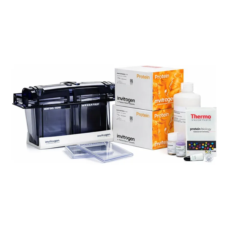 Thermo Fisher Scientific Novex WedgeWell Tris-Glycine Welcome Pack, 10 to 20%, 10-well, 1 Welcome Pk. kit
