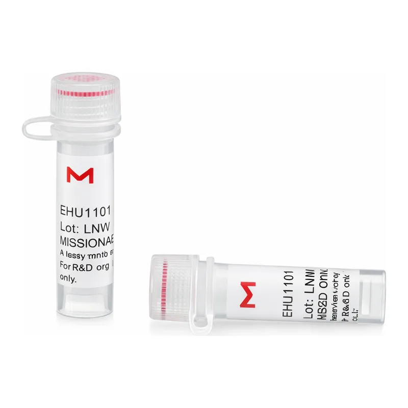 Merck ESIRNA HUMAN CHIT1