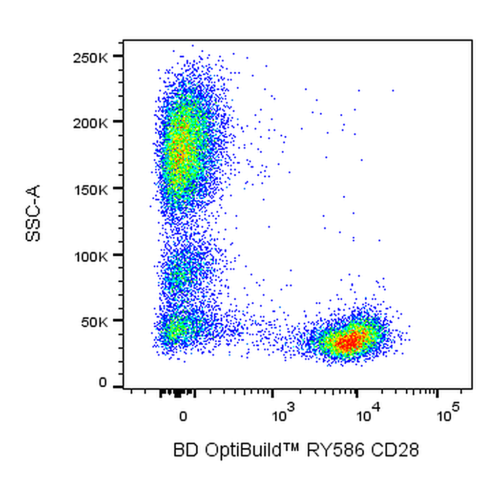 BD RY586 Mouse Anti-Human CD28