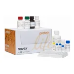 Thermo Fisher Scientific IL-12 p70 Mouse ELISA Kit