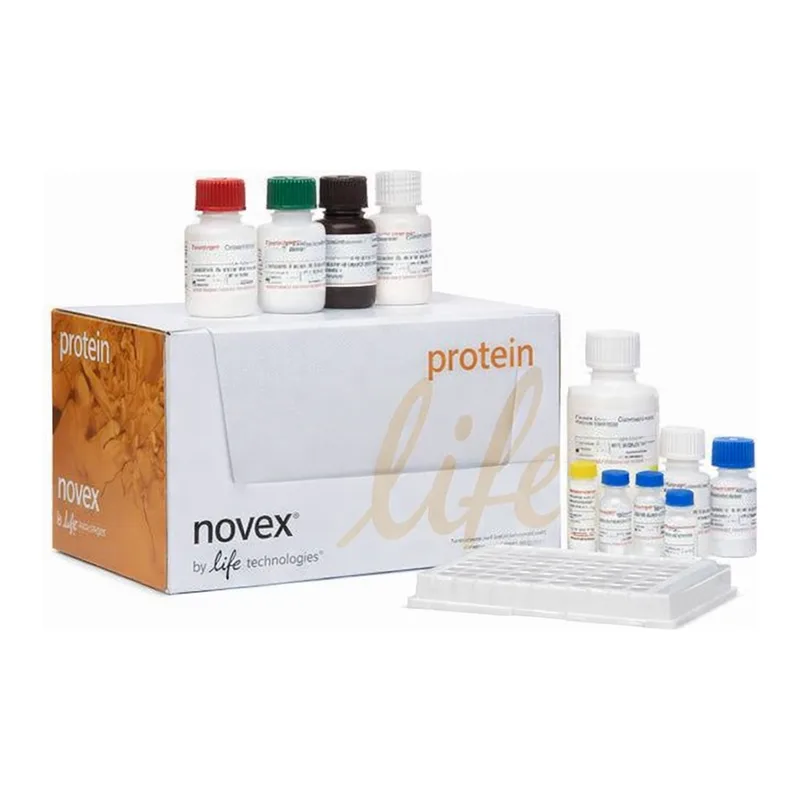 Thermo Fisher Scientific IL-12 p70 Mouse ELISA Kit