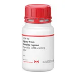 Merck LIPASE TYPE VII FROM CANDIDA RUGOSA