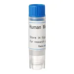 Thermo Fisher Scientific Human OATP1B3 (G) SLC Transporter Cells