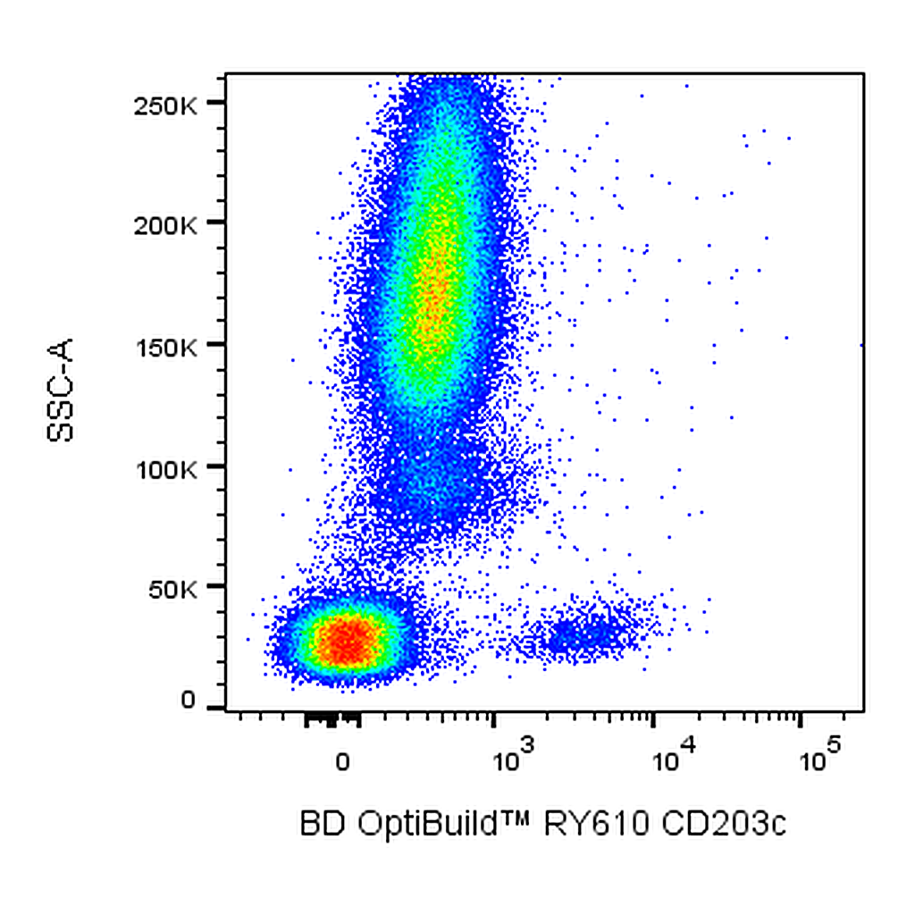 BD RY610 Mouse Anti-Human CD203c