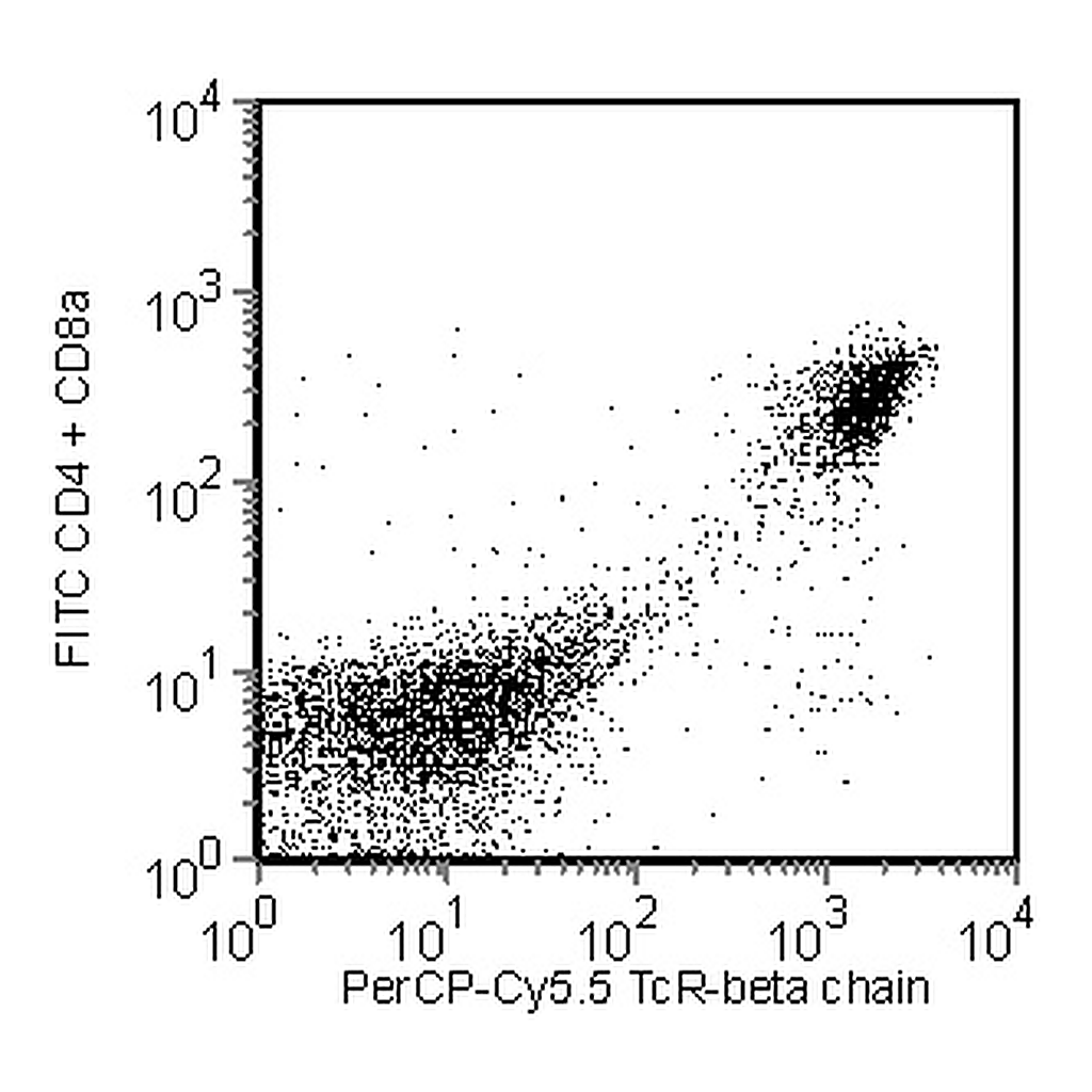 BD PerCP-Cy5.5 Hamster Anti-Mouse TCR β Chain