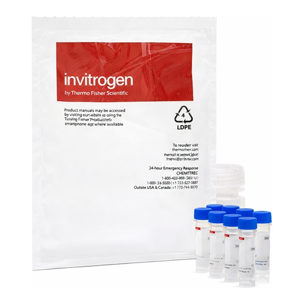 Thermo Fisher Scientific EnzChek Ultra Amylase Assay Kit