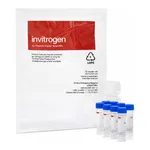 Thermo Fisher Scientific EnzChek Ultra Amylase Assay Kit