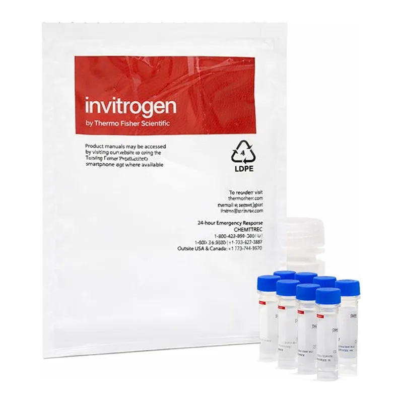 Thermo Fisher Scientific EnzChek Ultra Amylase Assay Kit