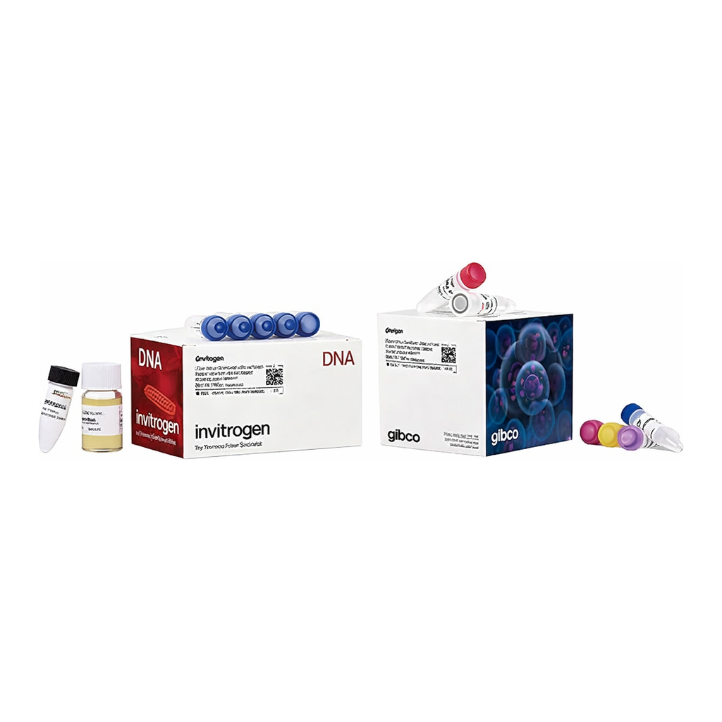 Thermo Fisher Scientific Bac-to-Bac N-His TOPO Cloning Kit