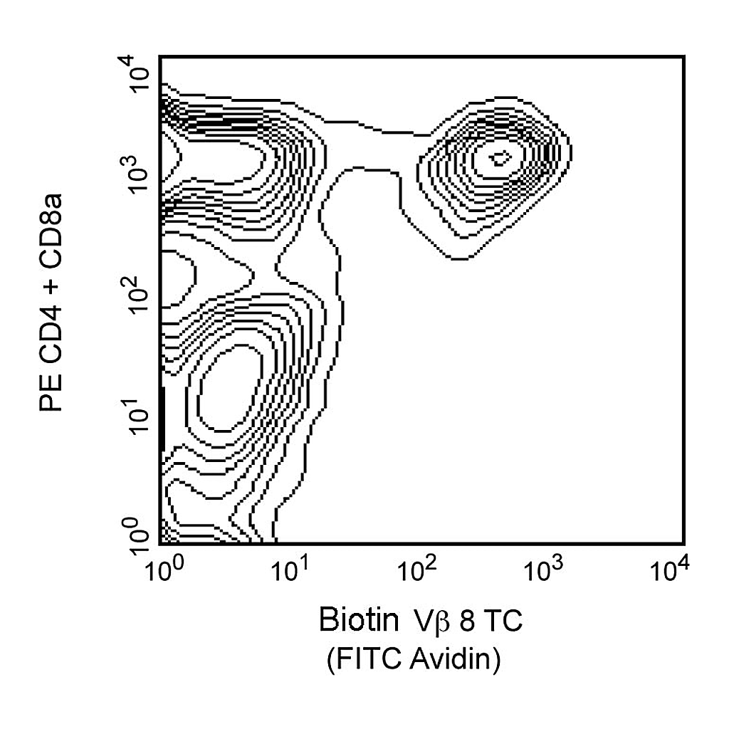 BD Biotin Mouse Anti-Mouse Vβ 8 T-Cell Receptor