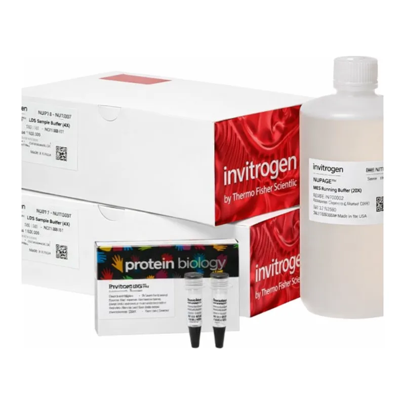 Thermo Fisher Scientific Novex Midi Tris-Glycine Plus Resupply Pack, 4 to 12%, 10 x 10 Gels kit