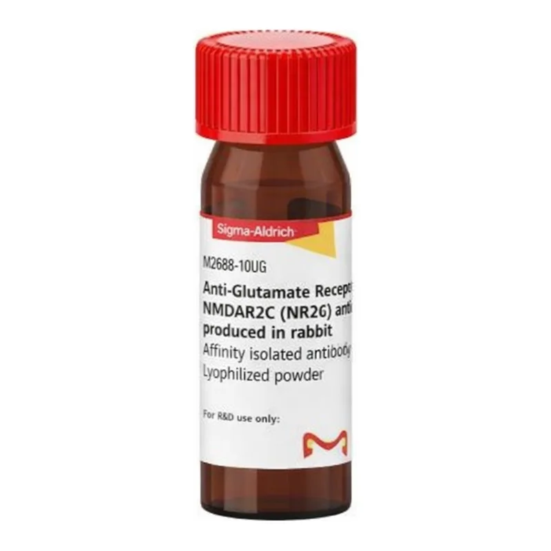 Merck Anti-Glutamate Receptor NMDAR2C (NR2C) antibody produced in rabbit