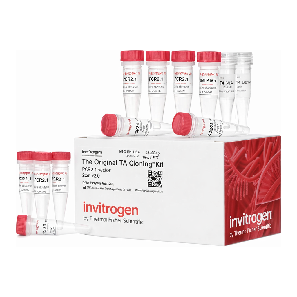 Thermo Fisher Scientific TA Cloning Kit, with pCR2.1 Vector, without competent cells, 20 reactions
