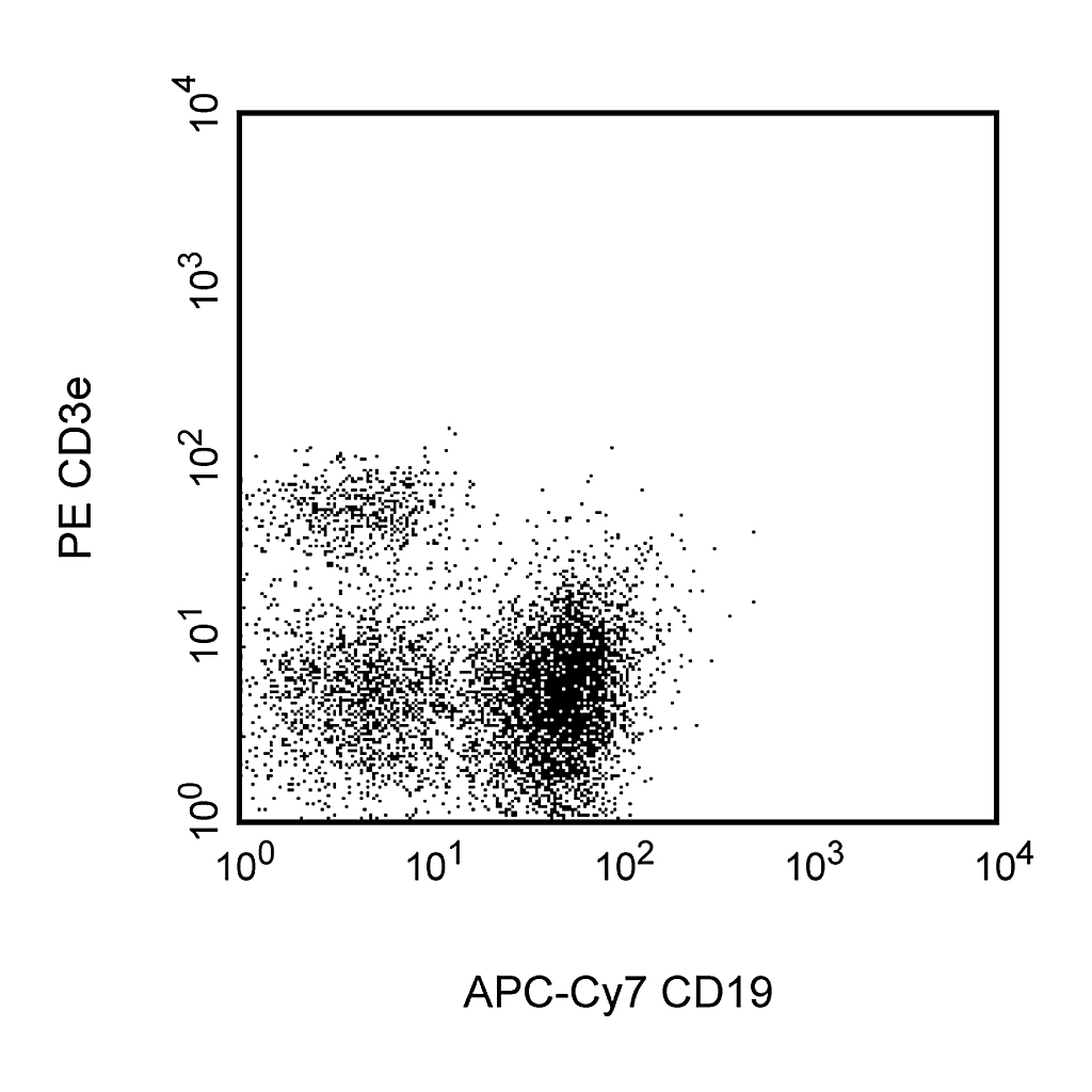 BD APC-Cy7 Rat Anti-Mouse CD19