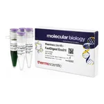 Thermo Fisher Scientific FastDigest Eco31I (IIs class), 50 μL (50 Reactions)