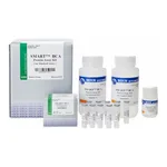 Intron SMART™ BCA Protein Assay Kit