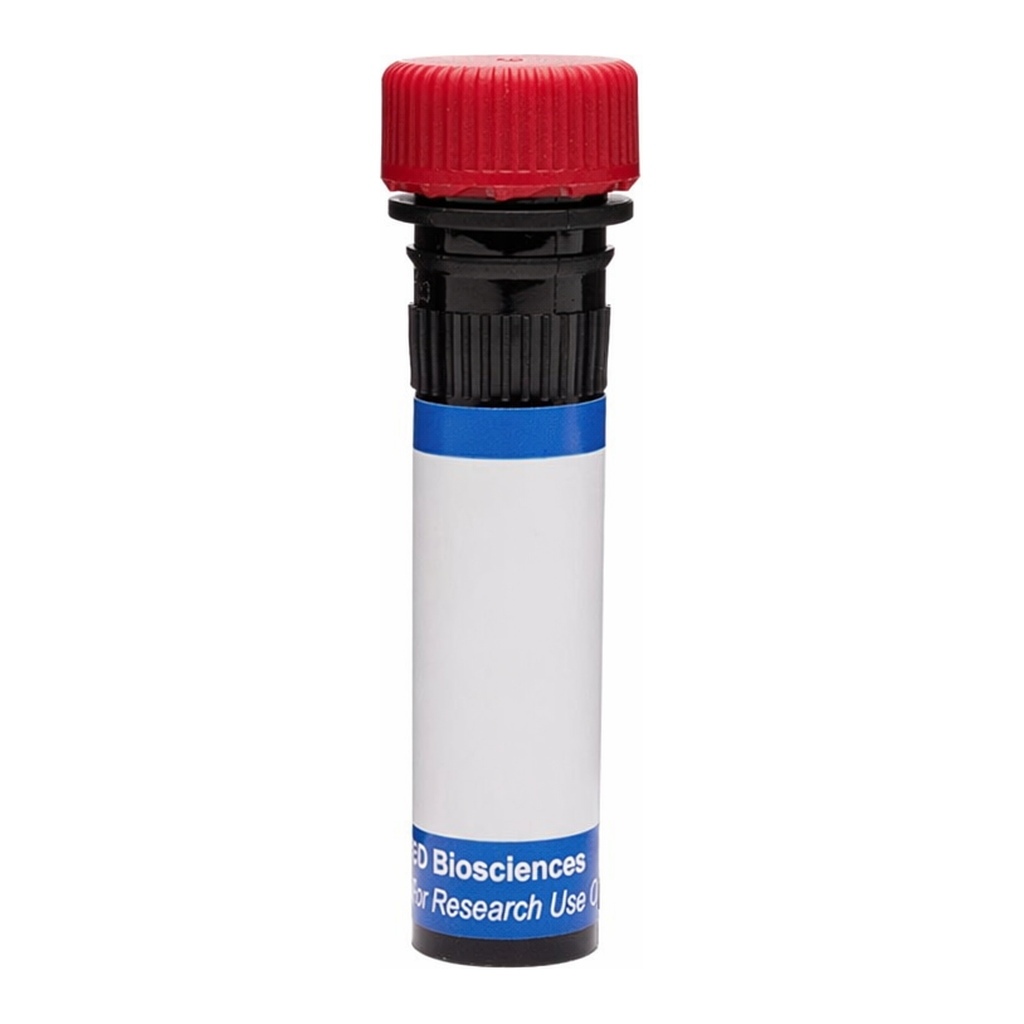 BD RB670 Rat Anti-Mouse FR4 (Folate Receptor 4)