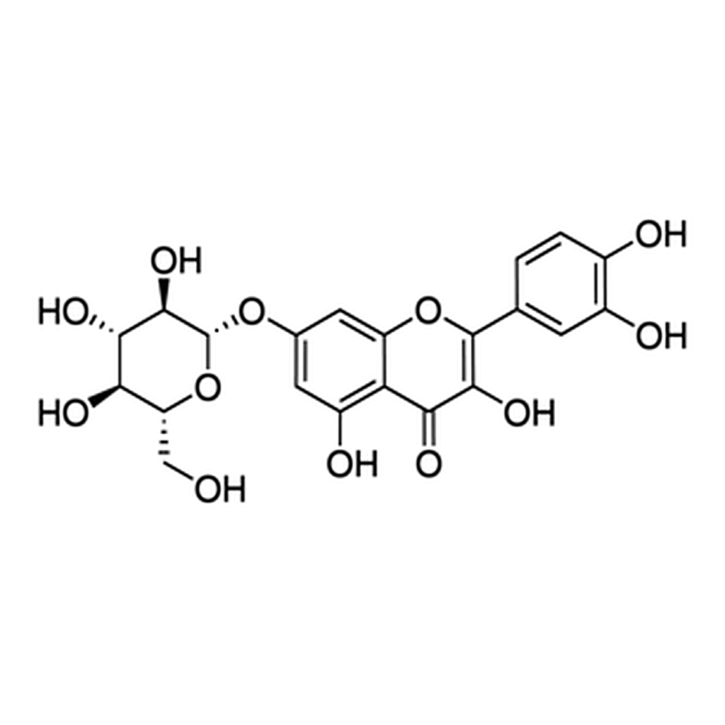 Merck QUERCETIN 7-GLUCOSIDE