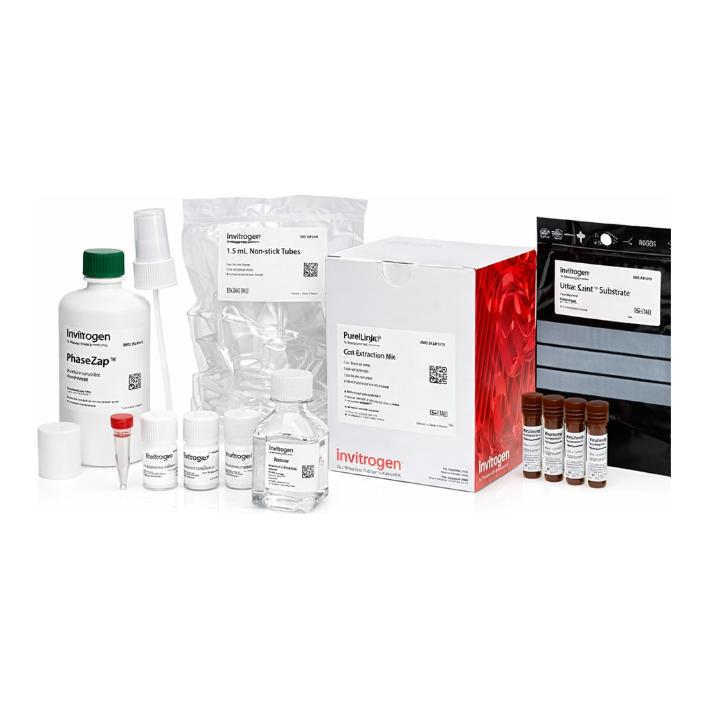 Thermo Fisher Scientific DNaseAlert QC System