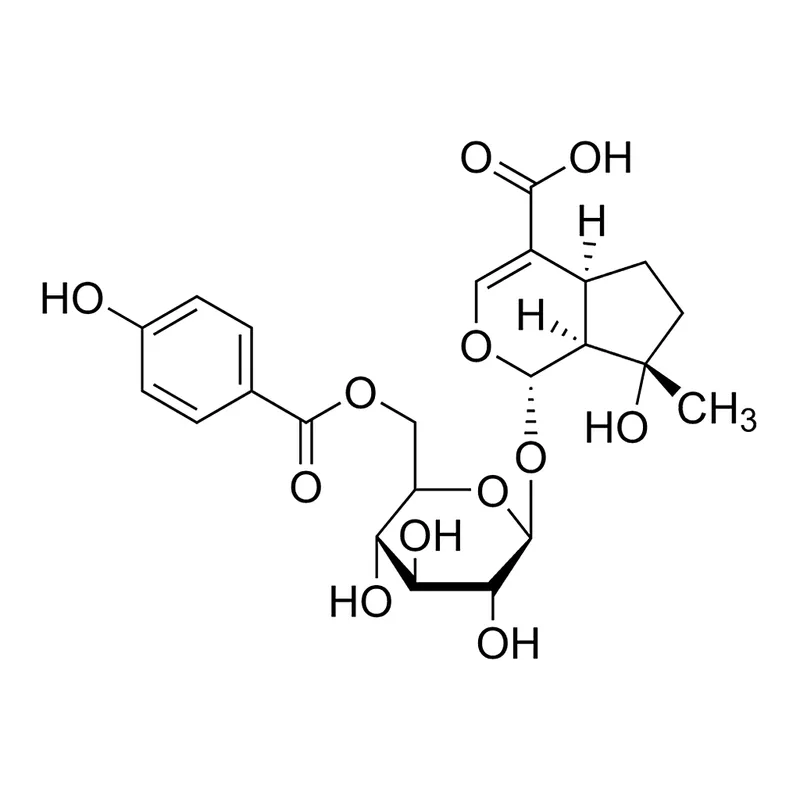 Merck 6'-(p-Hydroxybenzoyl)mussaenosidic acid