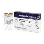 Thermo Fisher Scientific Tru1I (MseI) (10 U/μL), 300 units
