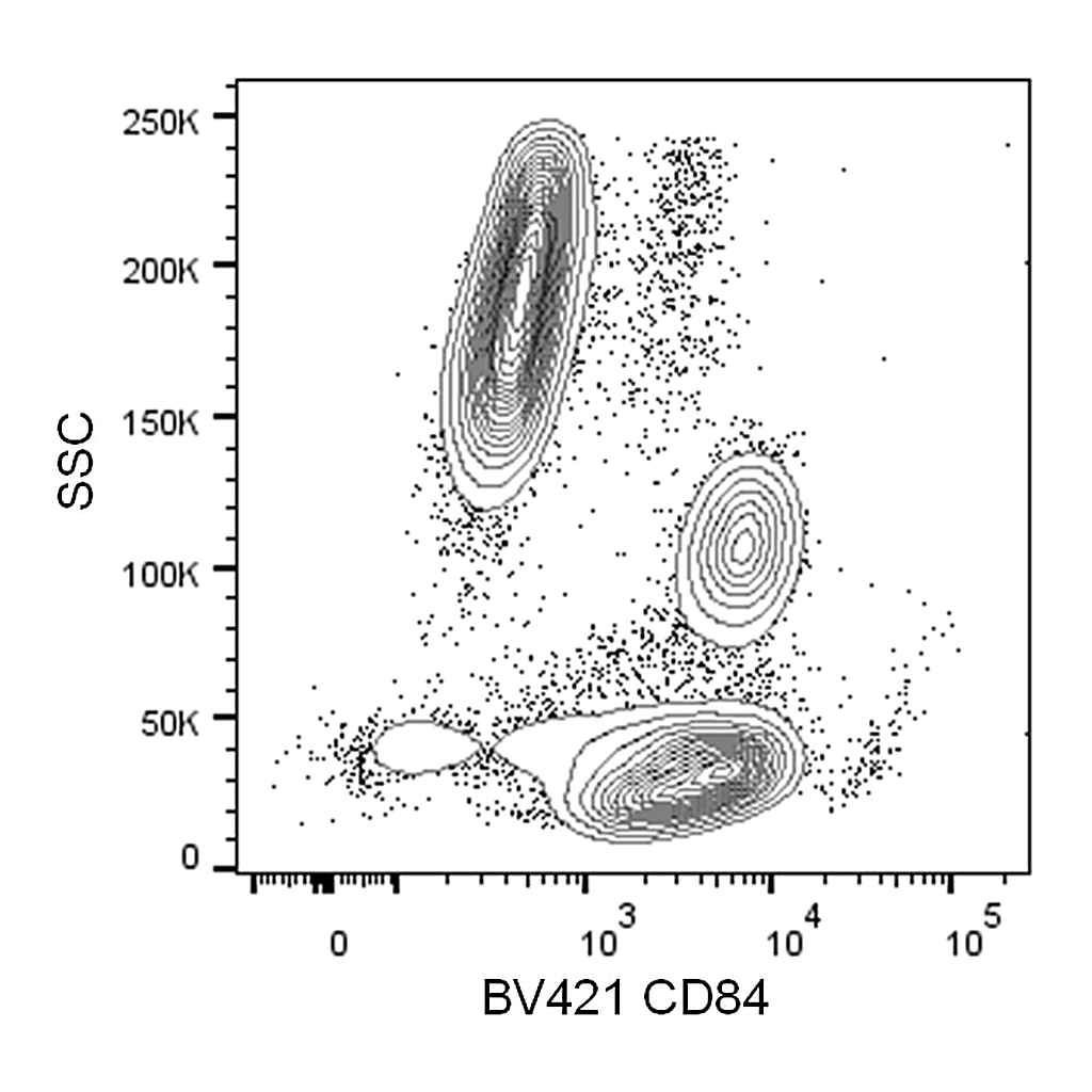 BD BV421 Mouse Anti-Human CD84