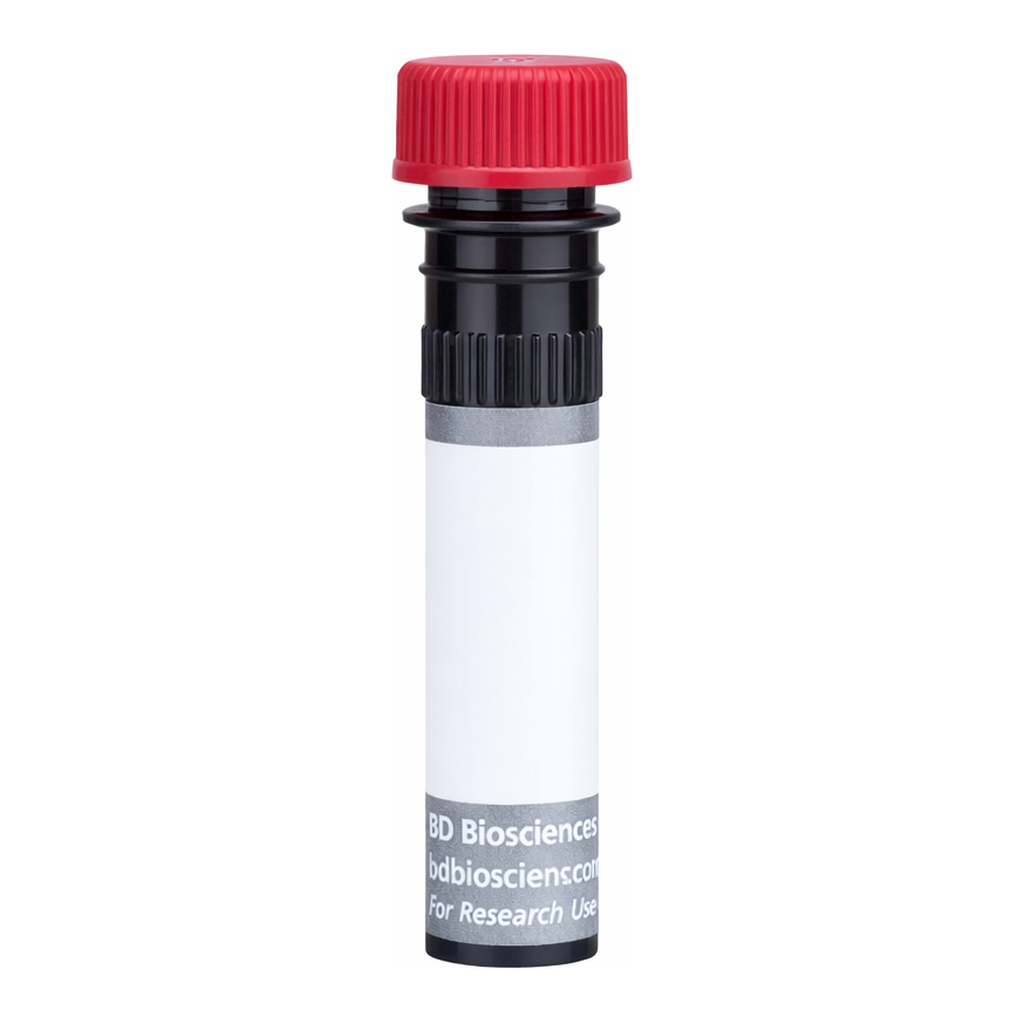 BD BUV805 Rat Anti-Mouse Vβ 6 T-Cell Receptor