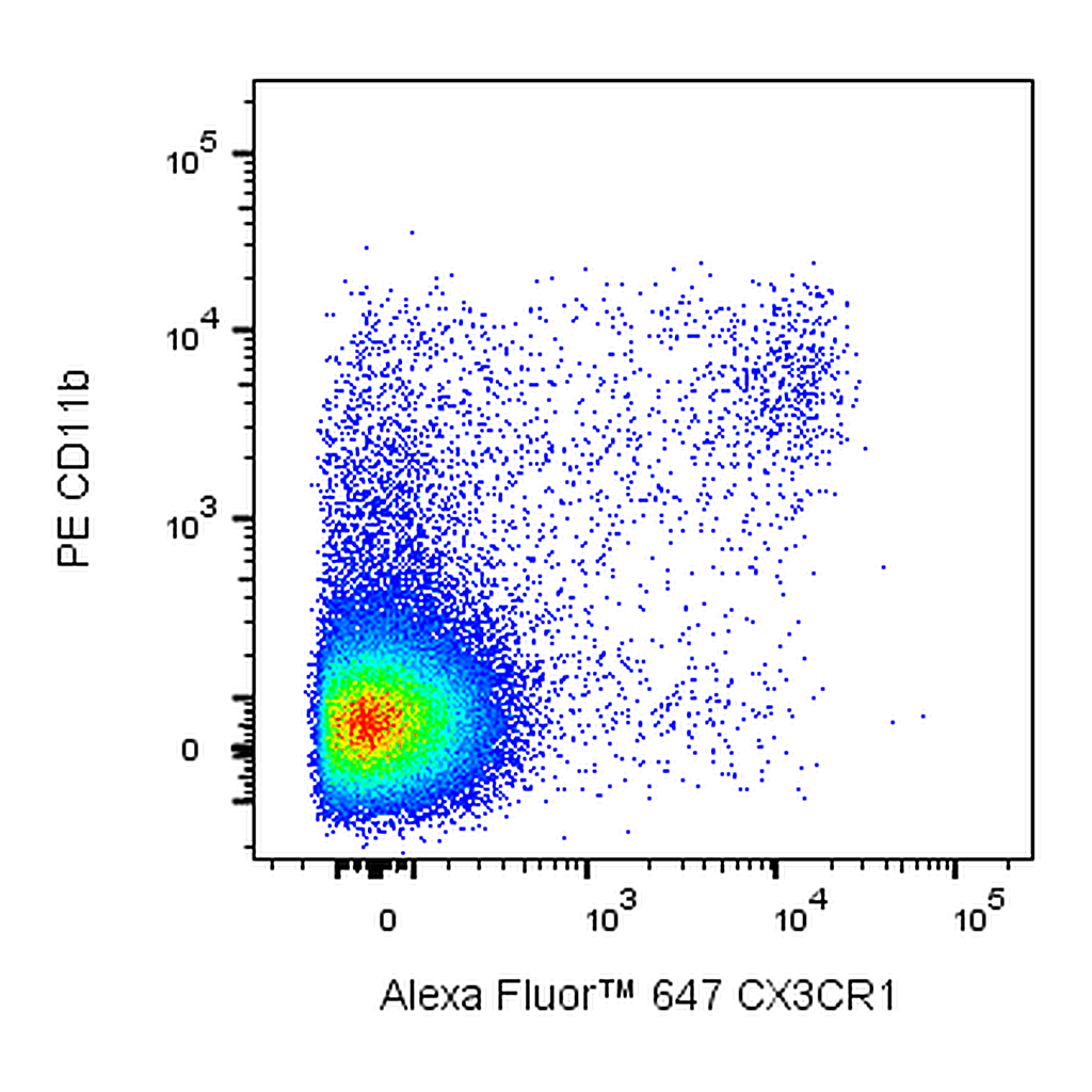BD Alexa Fluor 647 Rat Anti-Mouse CX3CR1