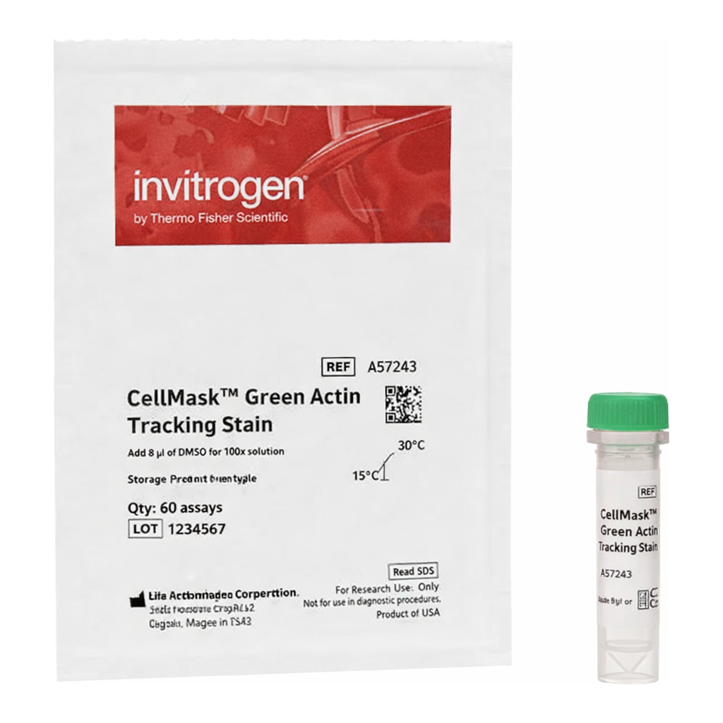 Thermo Fisher Scientific CellMask Green Actin Tracking Stain, 1 x 60 Assays