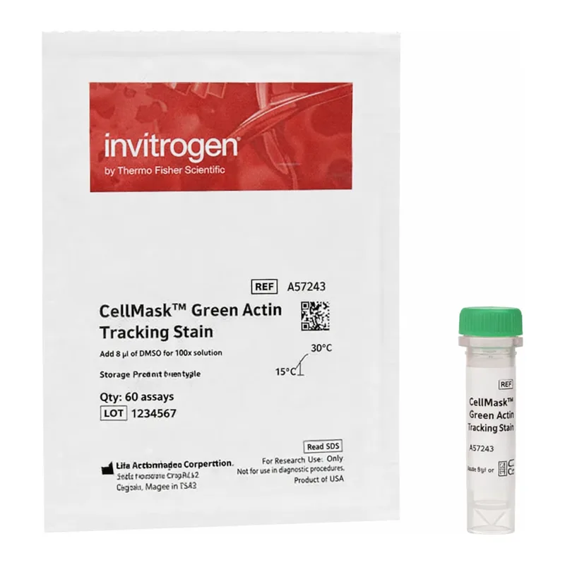 Thermo Fisher Scientific CellMask Green Actin Tracking Stain, 1 x 60 Assays