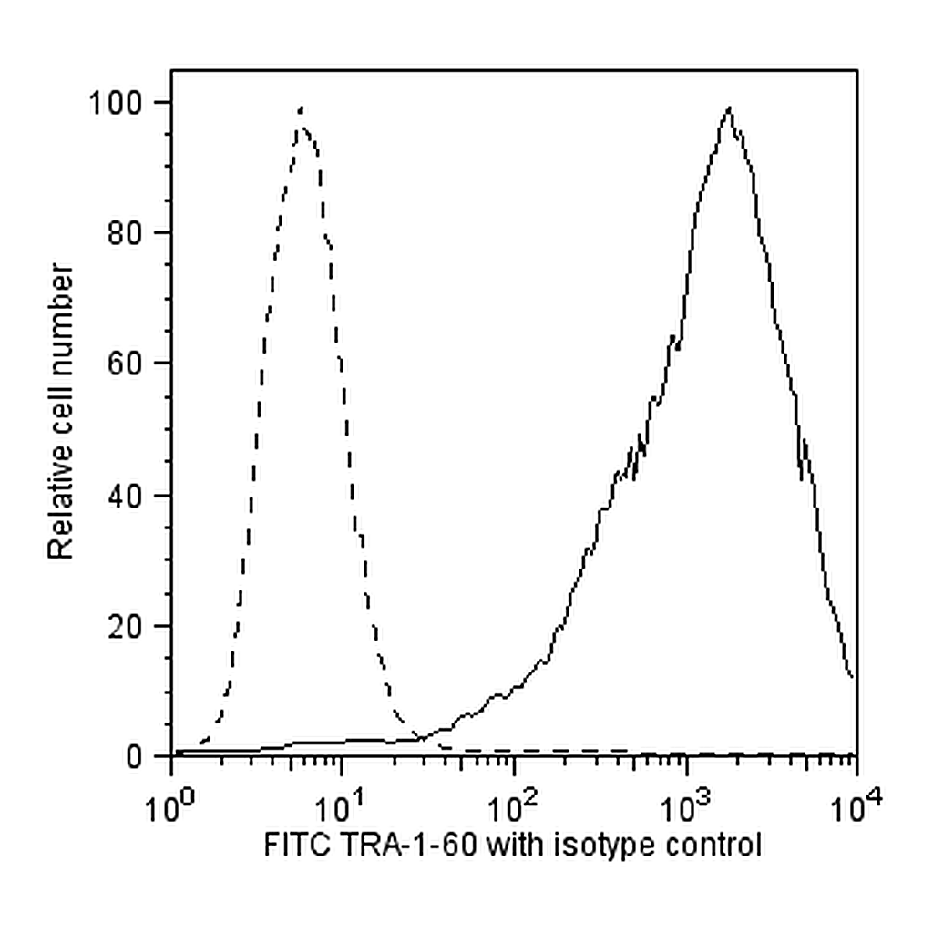 BD FITC Mouse anti-Human TRA-1-60 Antigen