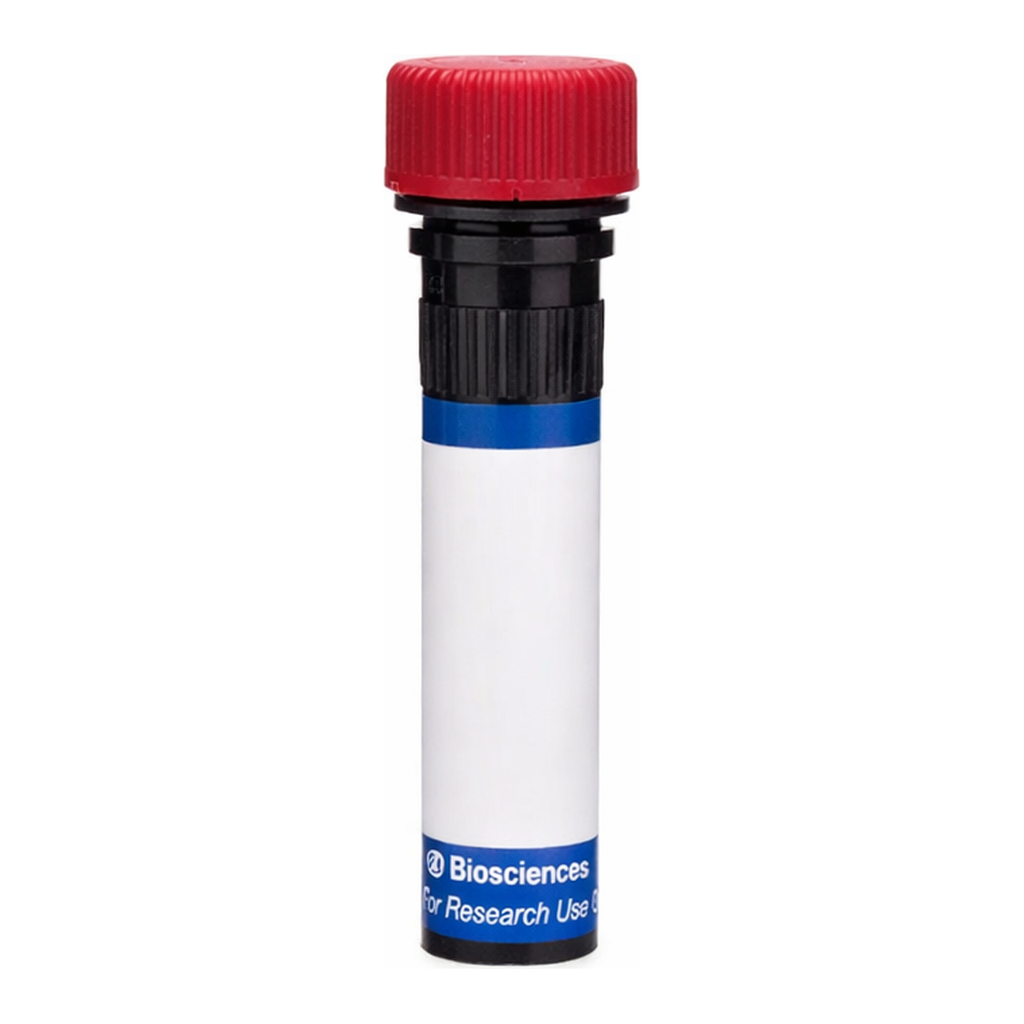BD RB670 Rat Anti-Mouse Integrin β7