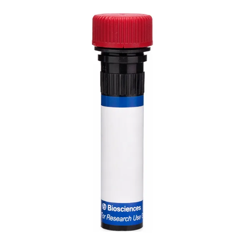 BD RB670 Rat Anti-Mouse Integrin β7