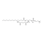 Merck PGPC