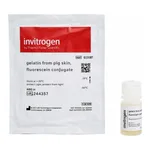 Thermo Fisher Scientific Gelatin From Pig Skin, Fluorescein Conjugate